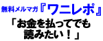 無料メルマガ『ワニレポ』
