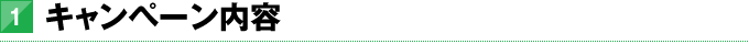 1．キャンペーン内容